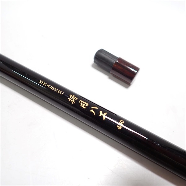 将月ハエ４５０